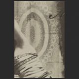 Voile de dentelle (2)