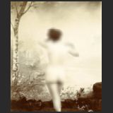 Toile peinte (lac, bouleau)